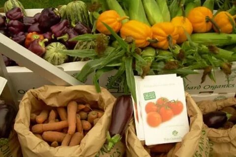 Food environment