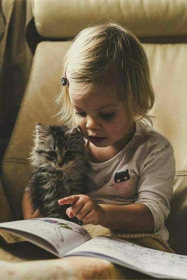 Малыш и его коты. Кот для детей. котёнок-ребёнок. для детей. животные. дети и коты.