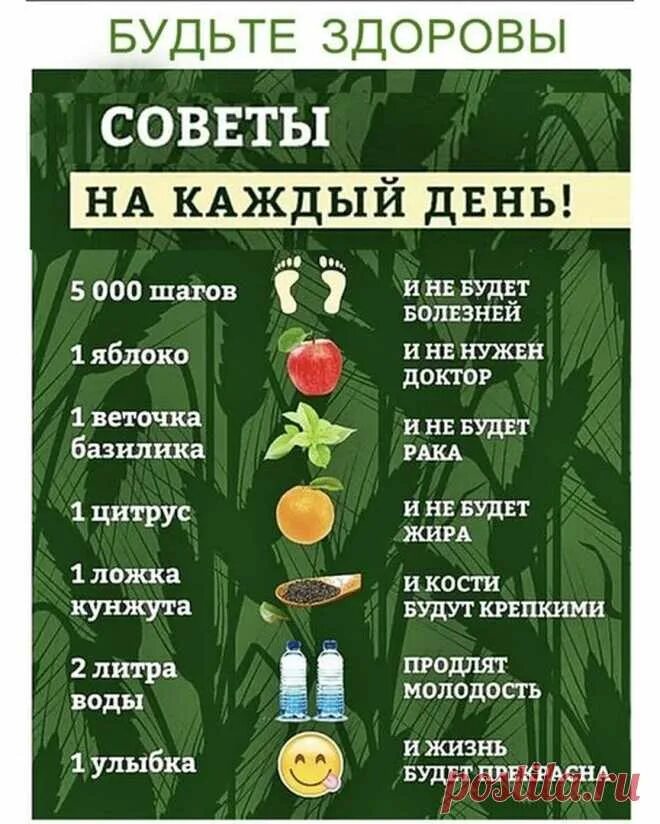 Полезная жизнь. Полезная жизнь