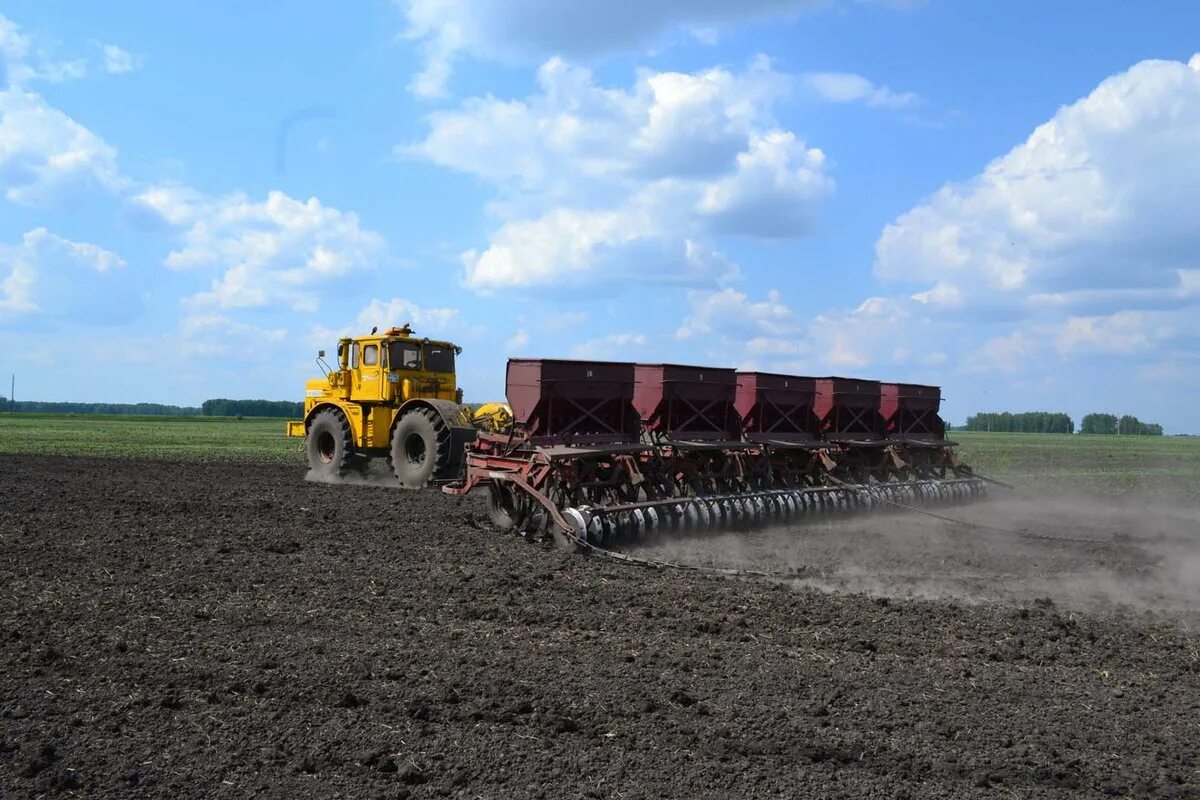 Трактора мтз 1221 на посевной. Посев в колхозах. Посев в колхозах. Что сеют колхозах. Посев зерновых.