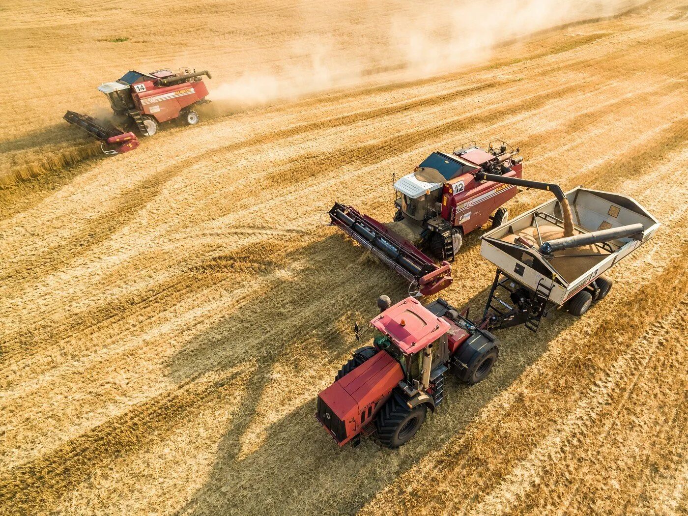 Техника уборки урожая. Беспилотный трактор джон дир. Комбайн claas lexion 670. Уборочная компания 2022. Зерноуборочный комбайн nova.