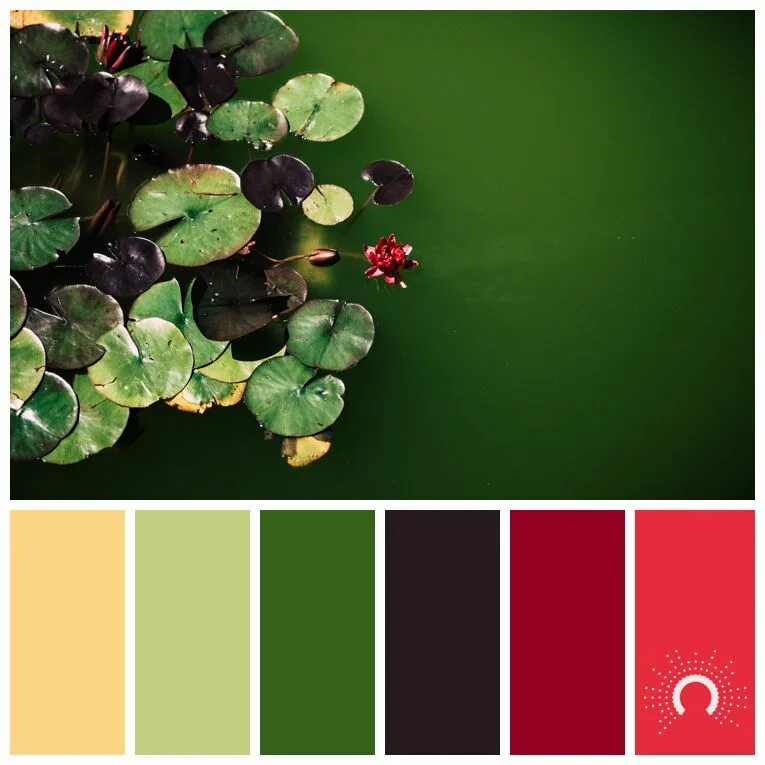 Seeds Color Palette изумрудный. Яркие цветовые сочетания. Сочетание цветов с зеленым. Палитра с зеленым сочетания. Темно зеленый цвет по другому