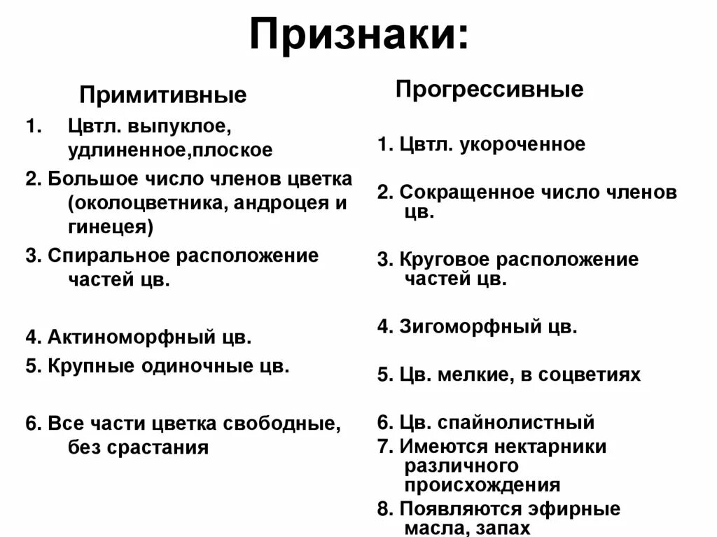 Признаки местоположение. Признаки примитивности. Примитивные признаки цветка. Примитивные признаки в строении цветка. Примитивные и прогрессивные признаки цветка.