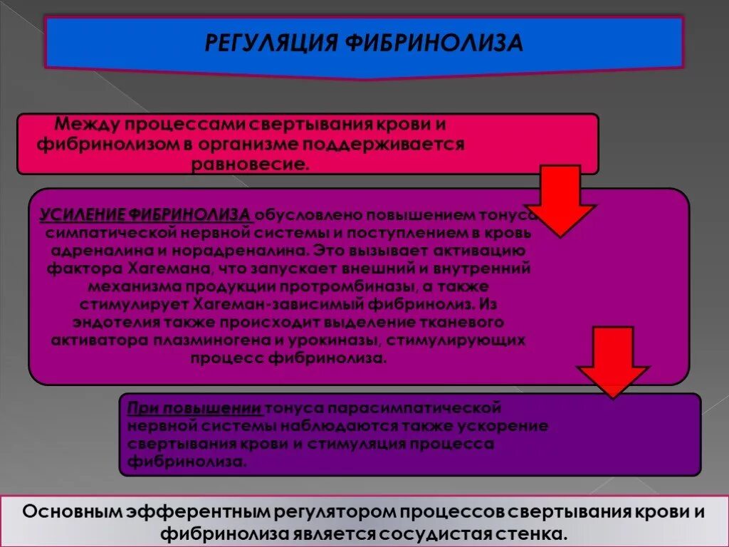 Регуляция фибринолиза. Регуляция свертывания крови и фибринолиза. Регуляция процесса свёртывания. Регуляция процессов свертывания крови.