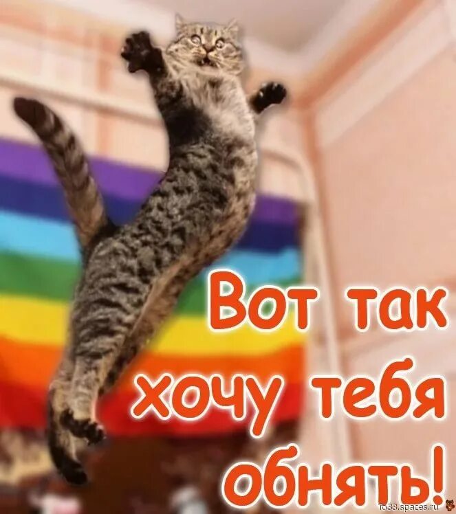 Хочу фотку. Хочу тебя обнять. Хочу тебя. Обнимаю тебя. Вот так хочу тебя обнять.
