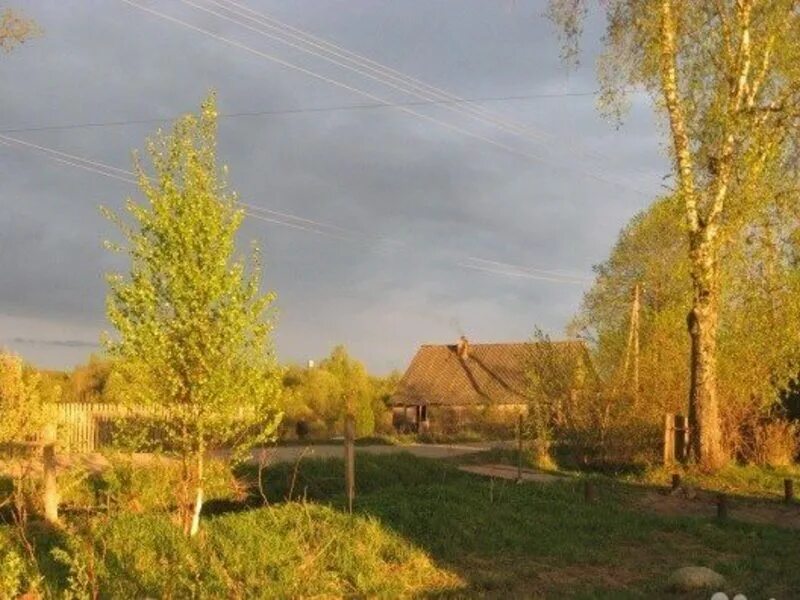 Луково участок. Циан великие луки. Шедяково. Деревня воробица новгородская область. Луково участок.
