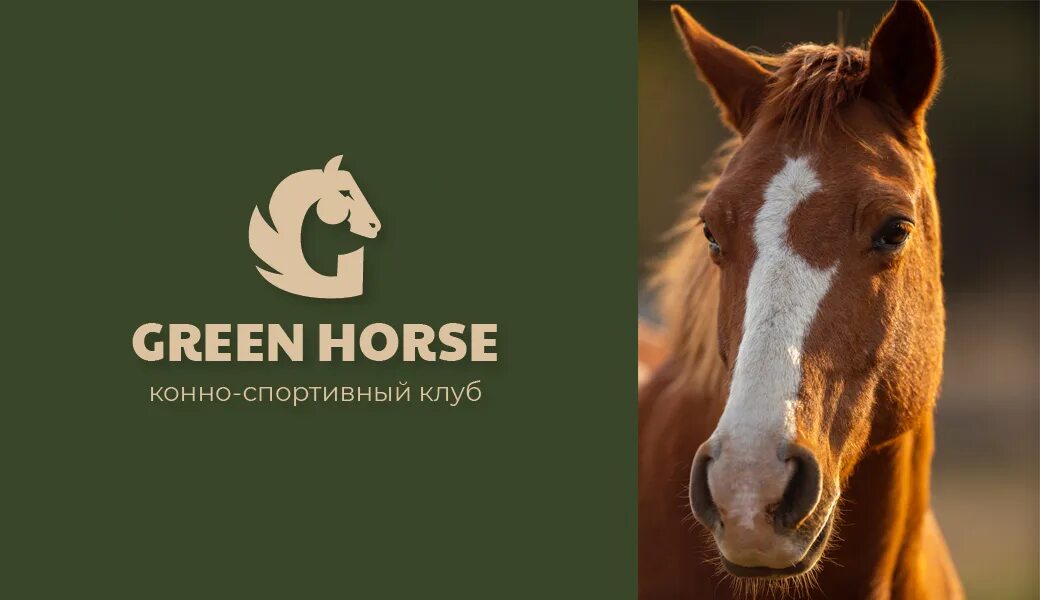 Кск хорс. КСК Грин Хорс. Конюшня Грин Хорс. Конный клуб Green Horse Волжский. Грин Хорс конный клуб Волгоград.