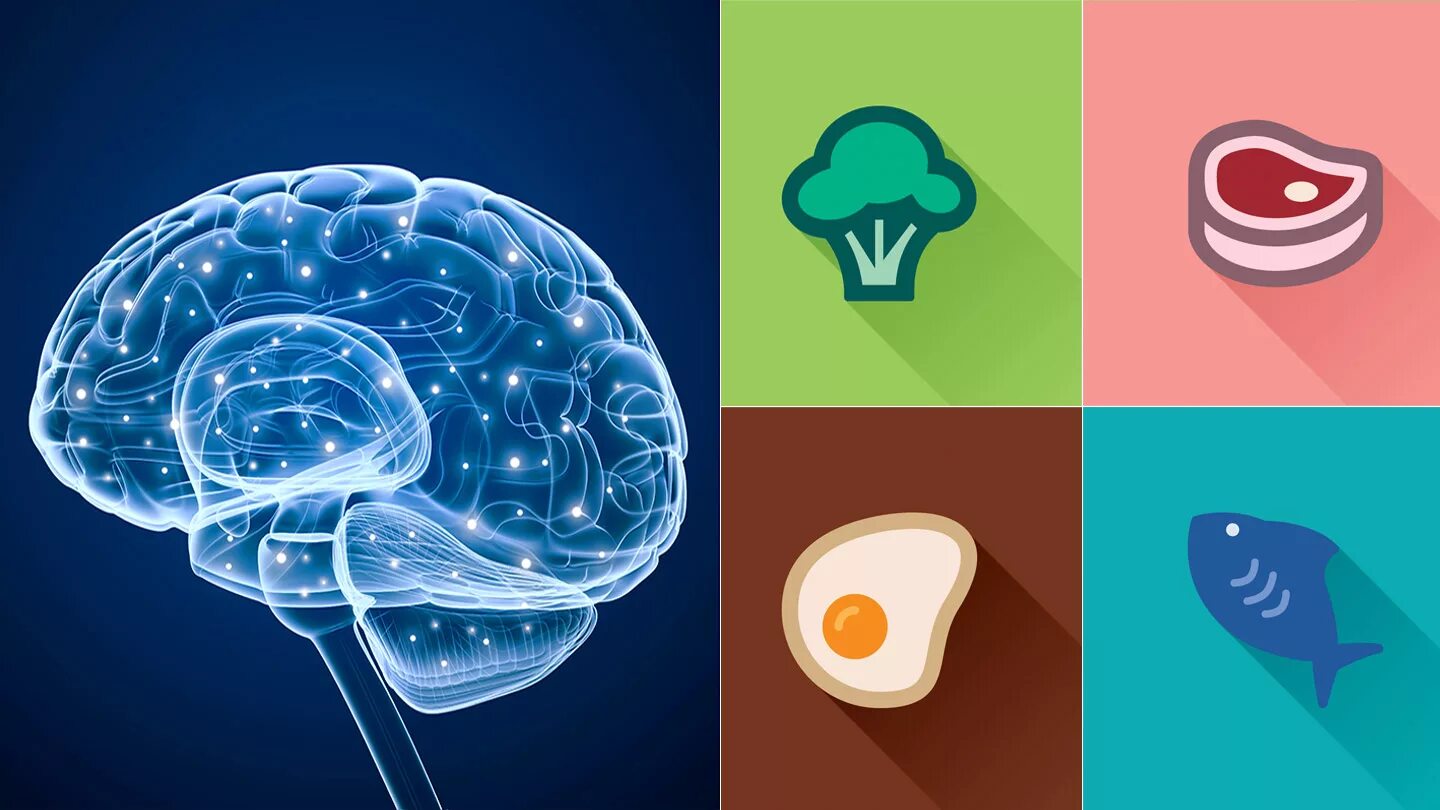Кетогенный эффект это. Диета при эпилепсии у детей меню. Питание при эпилепсии. Кето диета при эпилепсии у взрослых меню. Кето эпилепсия.
