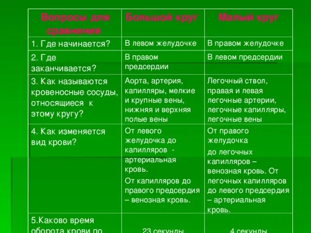 Каково время. Где начинается большой круг кровообращения таблица. Вопросы для сравнения где начинается. Как называются кровеносные сосуды, относящиеся к этому кругу?. Вопросы для сравнения большой круг малый круг.