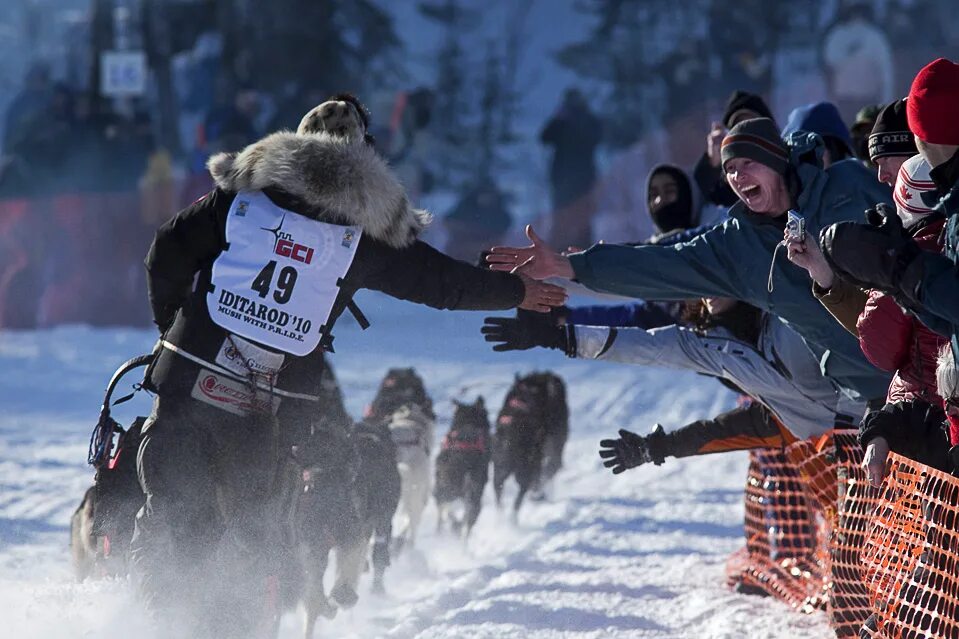 Аляска Айдитарод. Гонка Идитарод. Iditarod Trail Sled Dog Race логотип. Церемония открытия Айдитарод. Гонка аляска