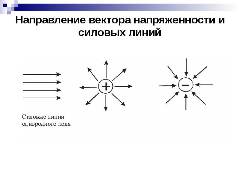 Направление силовых линий совпадает с направлением. Направление вектора напряженности. Направление вектора напряженности электрического поля. Направление линий напряженности электрического поля. Линии напряженности электростатического поля направлены.