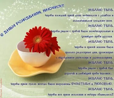С днем рождения яне владимировне