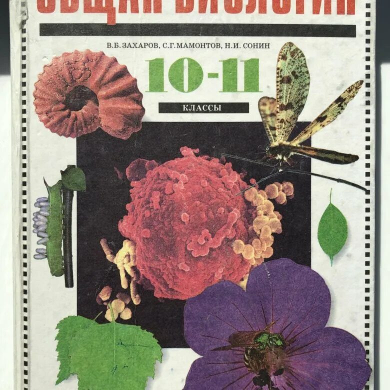Курсы биологии 10 11 класса. Учебник по биологии 10 11 класс общая биология. общая биология 10-11 класс захаров мамонтов сонин. биология 10-11 захаров. биология 10 класс захаров.