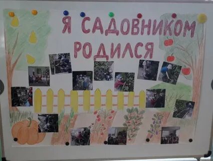Игра я садовником родился не на шутку