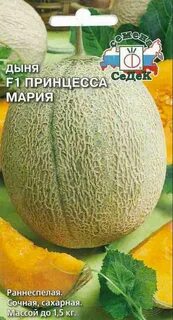 Дыня принцесса