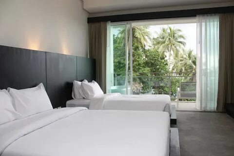 Sugar palm grand 4