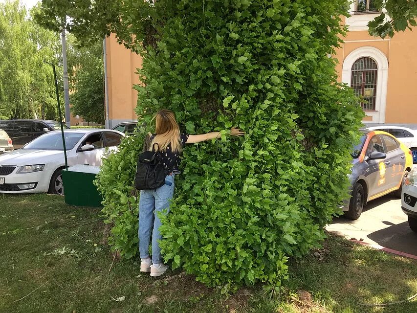 Экскурсантов можно посадить. Экскурсантов можно посадить
