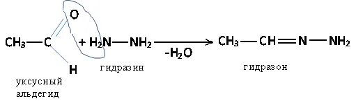 Альдегид с гидразином механизм реакции. Реакция альдегида с гидразином. Ацетальдегид+nh2. Уксусный альдегид и гидразин реакция.