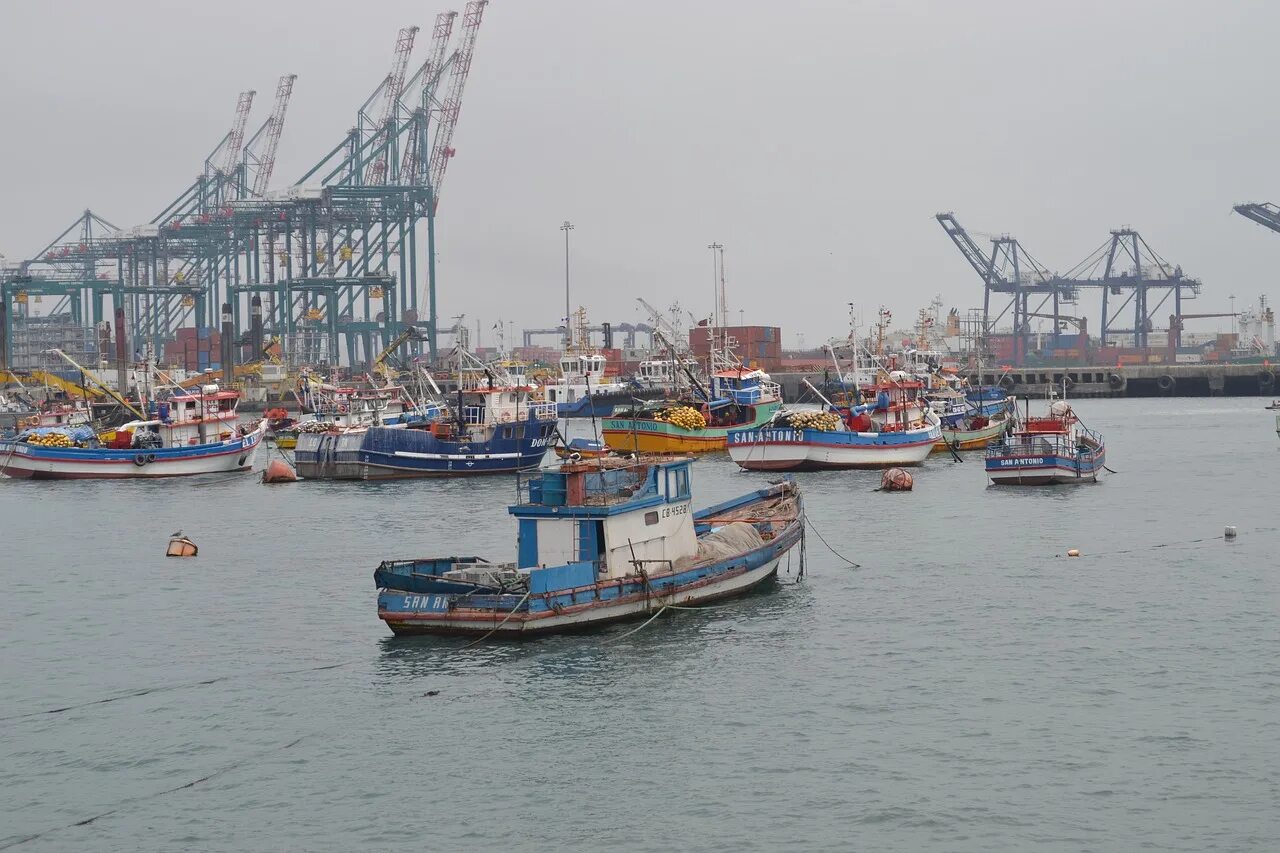 Порт регион. Порт владивосток морской торговый порт. Порт усть луга ростерминалуголь. Порт регион. Баржа армада астрахань.