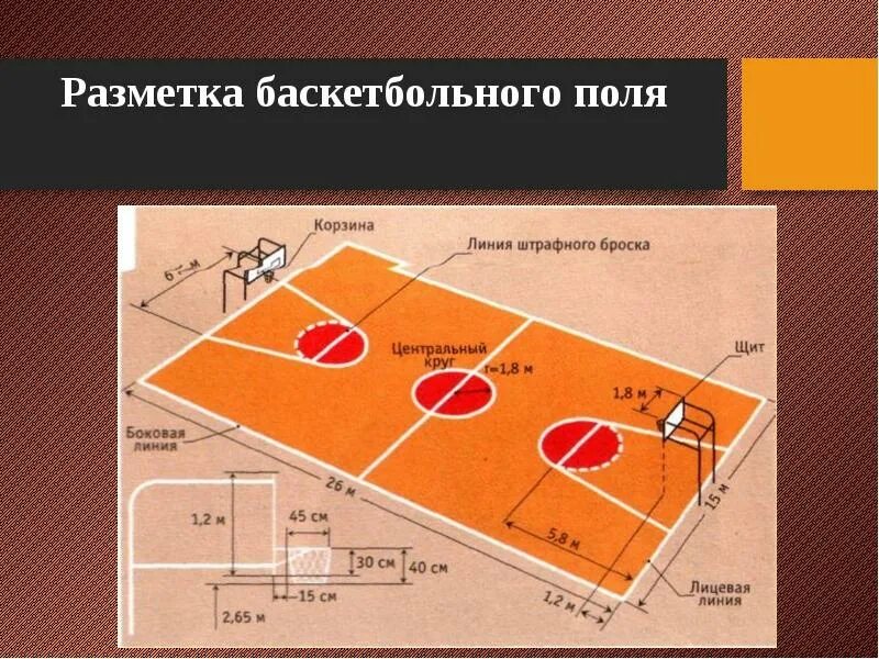 Размер баскетбольной площадки в баскетболе. Баскетбольная и волейбольная площадка схема. Нарисовать разметку баскетбольной площадки. Разметка баскетбольного зала для школы. Разметка волейбольного поля 10х5.