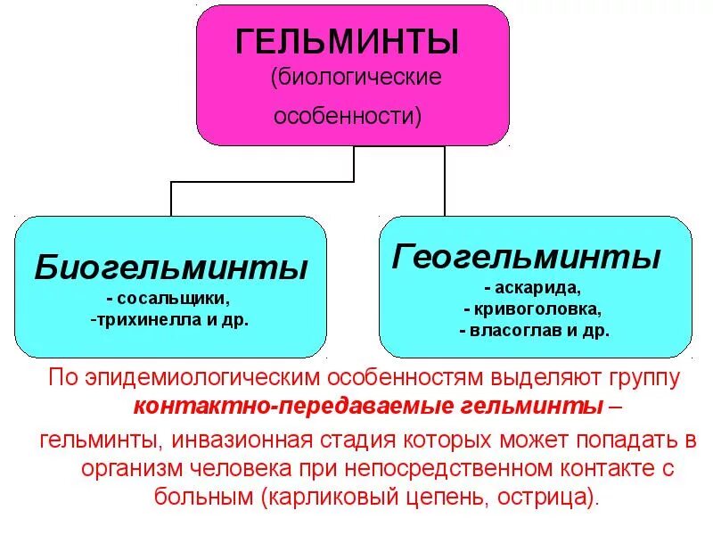 Гельминтозами называются заболевания вызываемые. Основные клинические симптомы гельминтозов. Для гельминтозов характерно. Основные клинические симптомы гельминтов. Гельминтозы презентация.