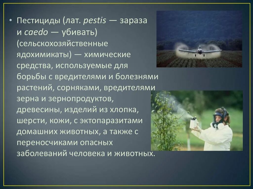 Программа пестициды. Пестициды. Пестициды в борьбе с болезнями. Химия в сельском хозяйстве. Методы борьбы с пестицидами.