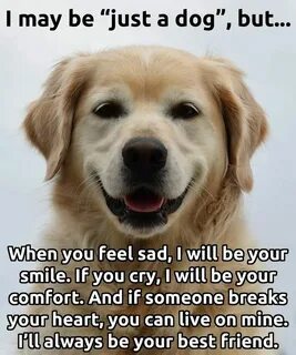 Dog but