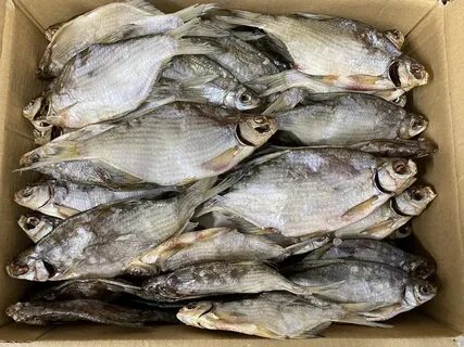 Продам вяленая рыба