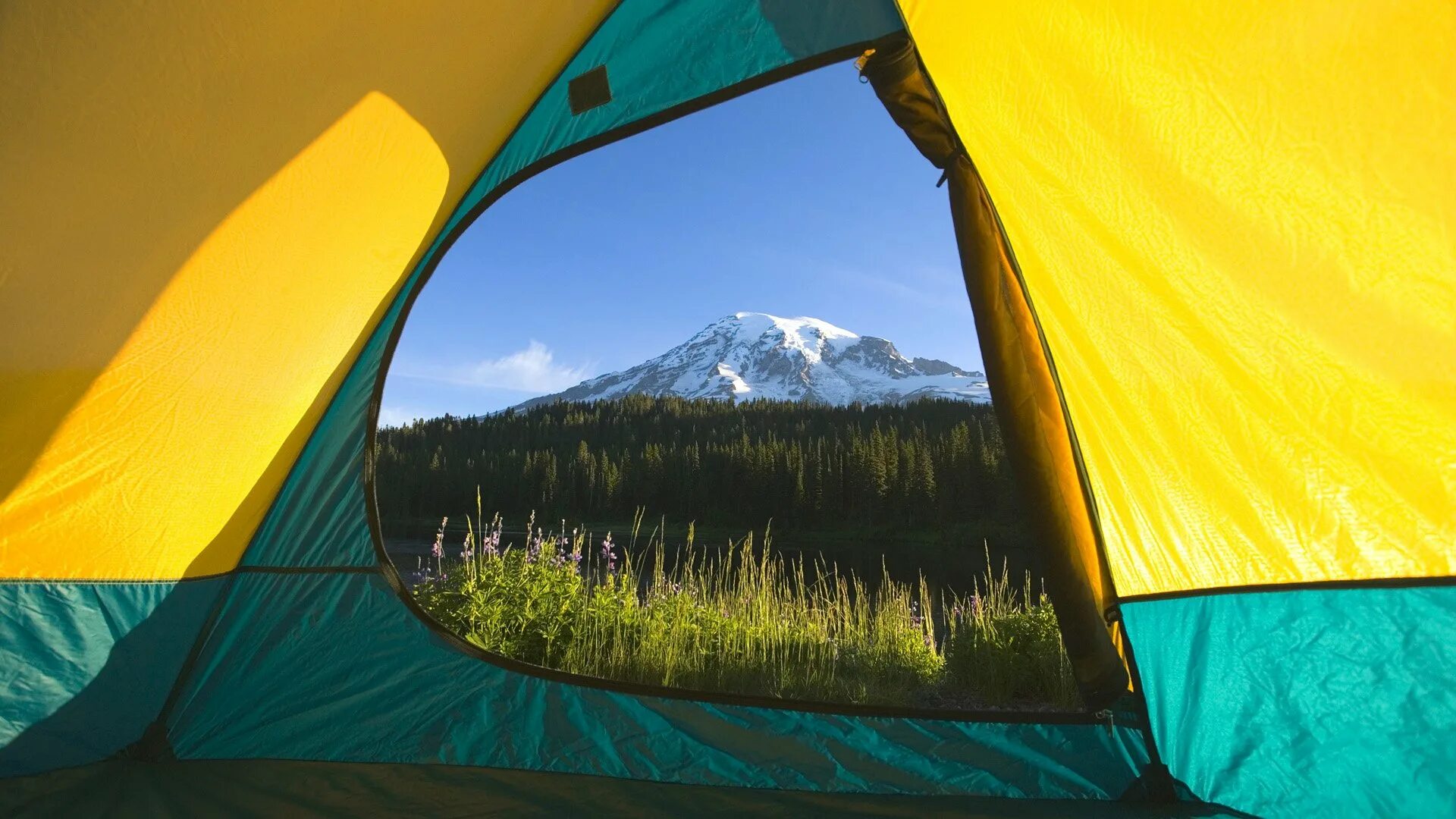 Туристы купили палатку. Палатка Camping Tent. Палатка Tramp Happy Life 8. Палатка Трамп Камп 5. Алтай Кемп палатки.