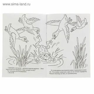 Лягушка путешественница главная мысль для читательского дневника