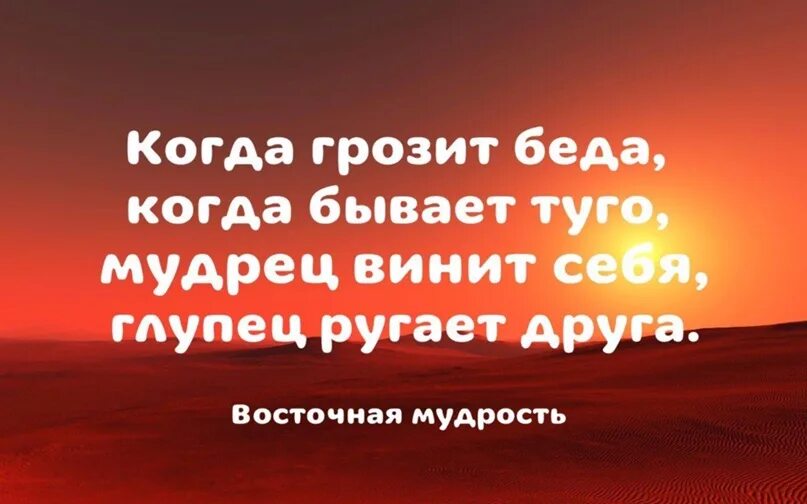 Грозит беда. Человек который винит всех кроме себя. Цитаты во всем винит других людей. Человек который во всем винит других. Слабый человек винит других.