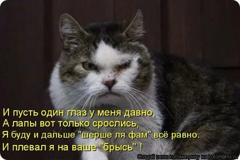 И пусть я не один песня