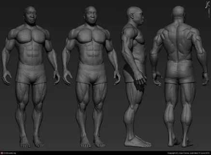 Character body