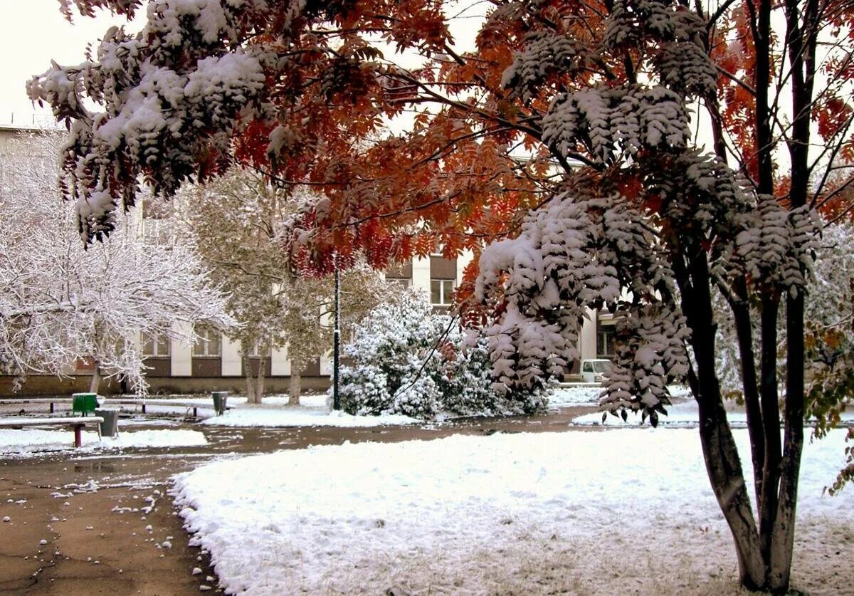 Где наступила зима. Ранняя зима в городе. Первый снег осенью в городе. С наступлением зимы. Первый снег в городе.