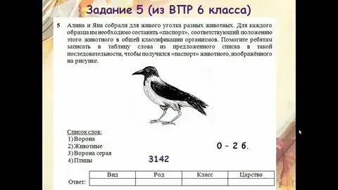 Vpr ma 4 demo 2023