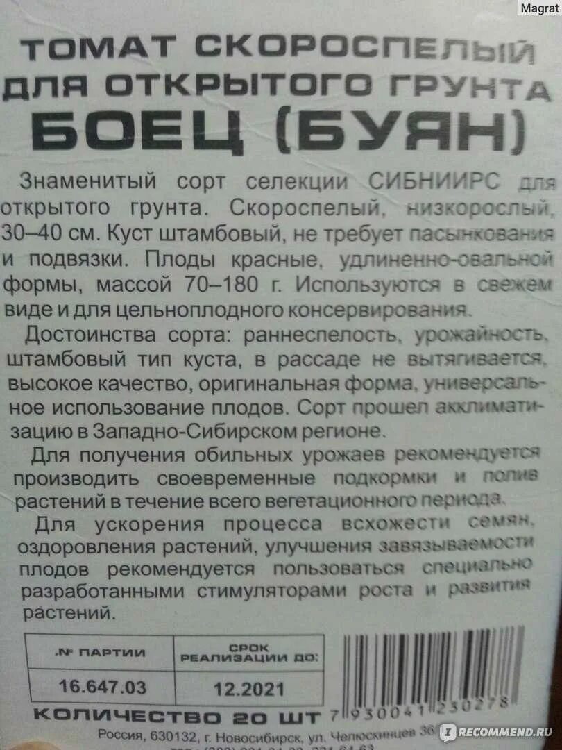 Томат боец Буян Сибирский сад. Буян боец семена. Буян боец томат описание. Томат боец Буян характеристика и описание.