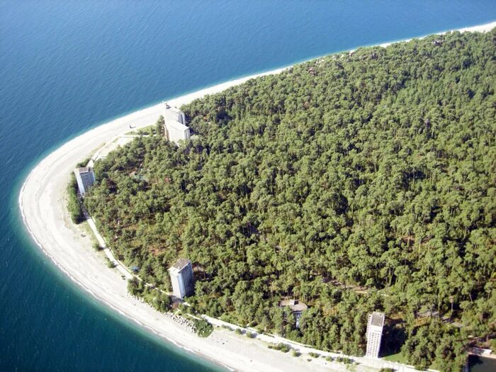 Амзара пицунда пансионат. Амзара. Парк в пицунде абхазия. Абхазия пицунда амзара. Корпус маяк опк пицунда.