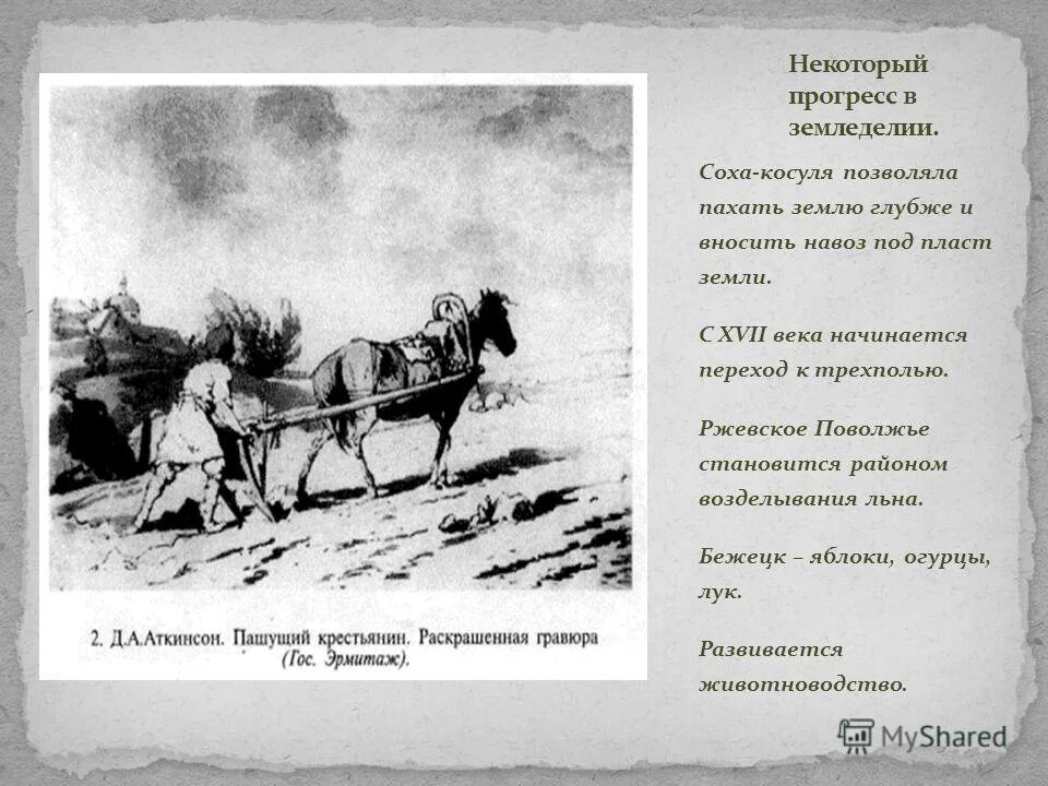 Похищение сохи читать