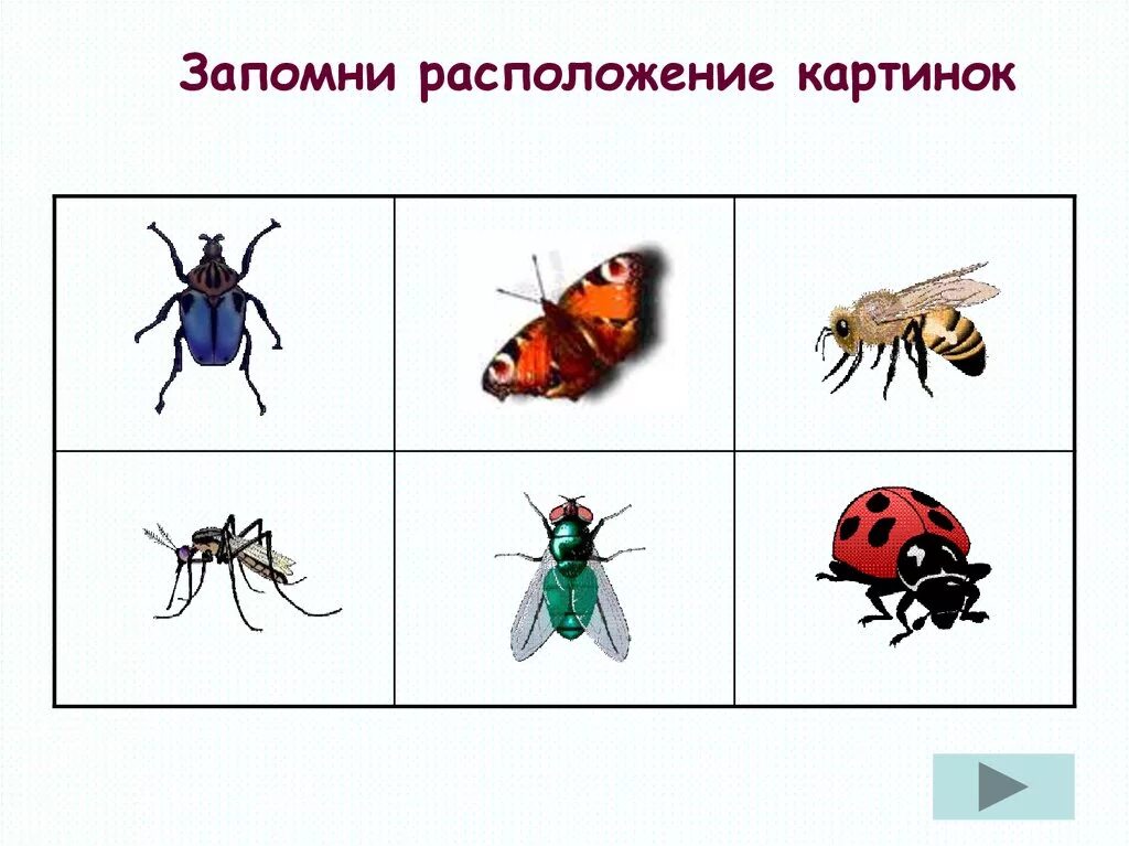 Насекомые задания для дошкольников. Откуда насекомое. Среда обитания насекомых. Комар. Откуда насекомое.