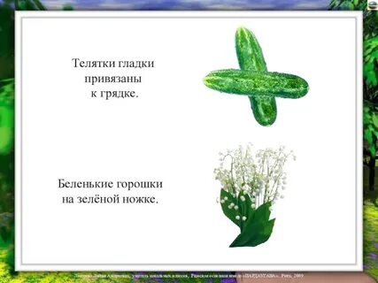 Загадка растет на грядке зеленая ветка