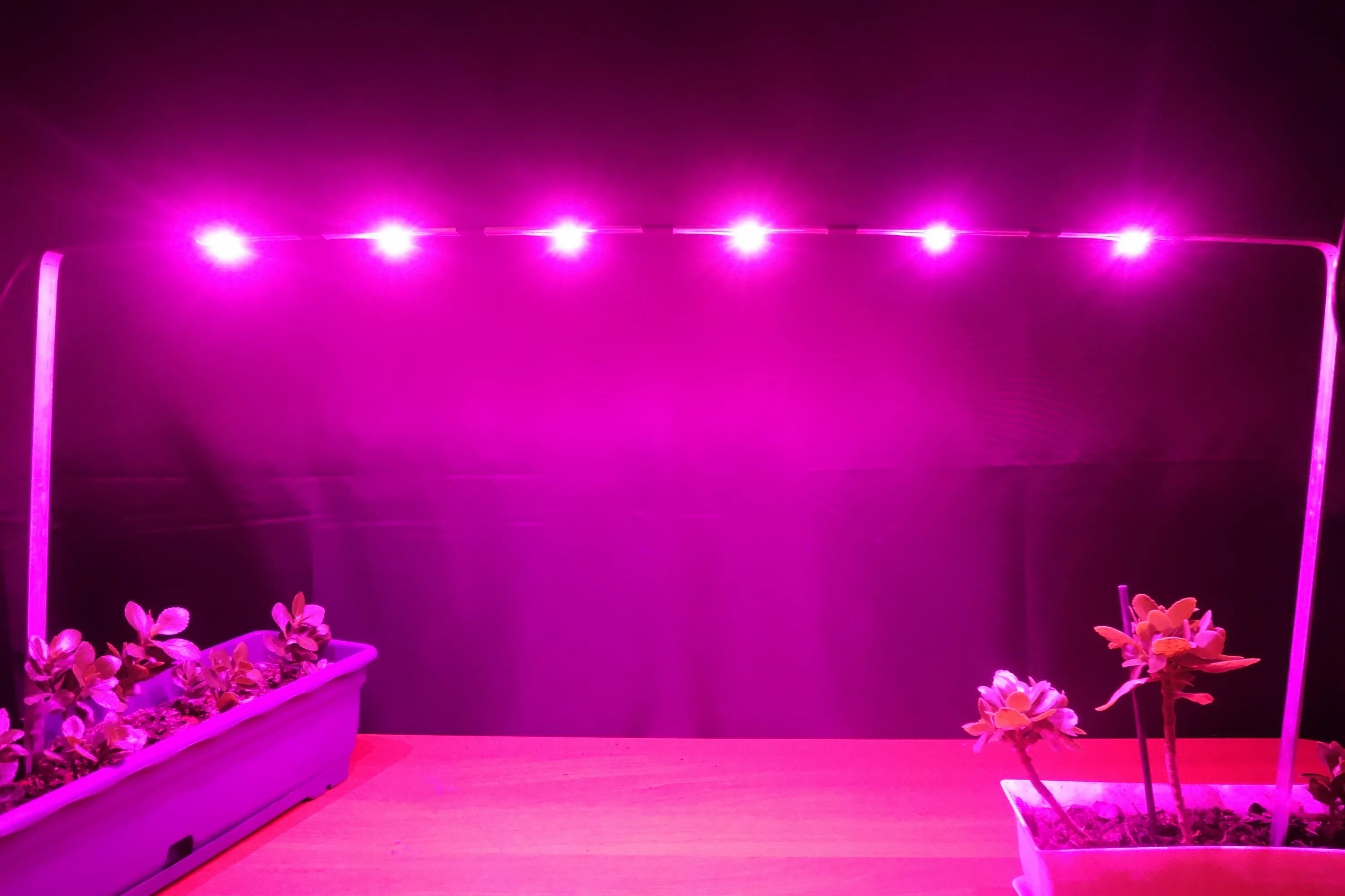 Фитолампа led grow Light. VKL фитолампа фитолампа. Розовая лампа для растений. Розовый свет для растений. Розовый свет фитолампа