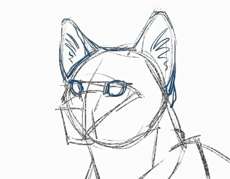 Cats tutorials