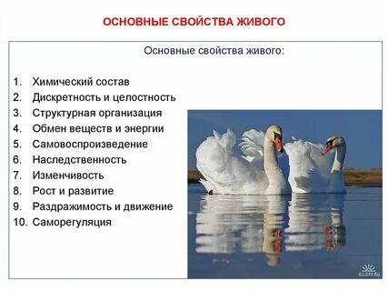 Все свойства живых организмов огэ
