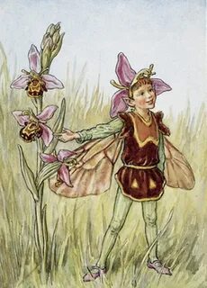 Эльф на английском