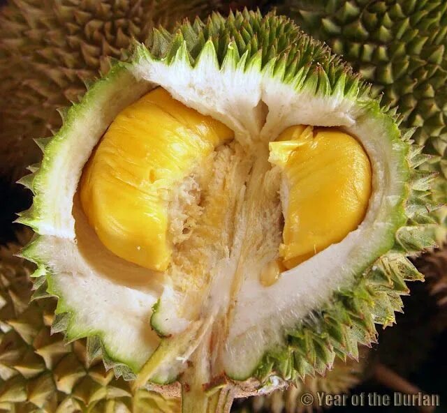 Agricultural Land for Durian Planting Trái cây, Thịt, Trái cây tươi