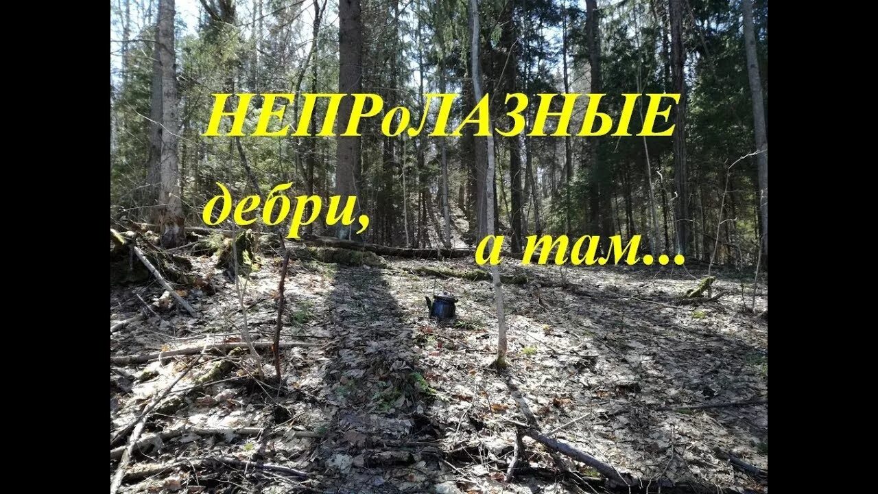 Дебри 4x4 омск. Суета дебри. Дебри карелии. Песни дебри. Песни дебри.