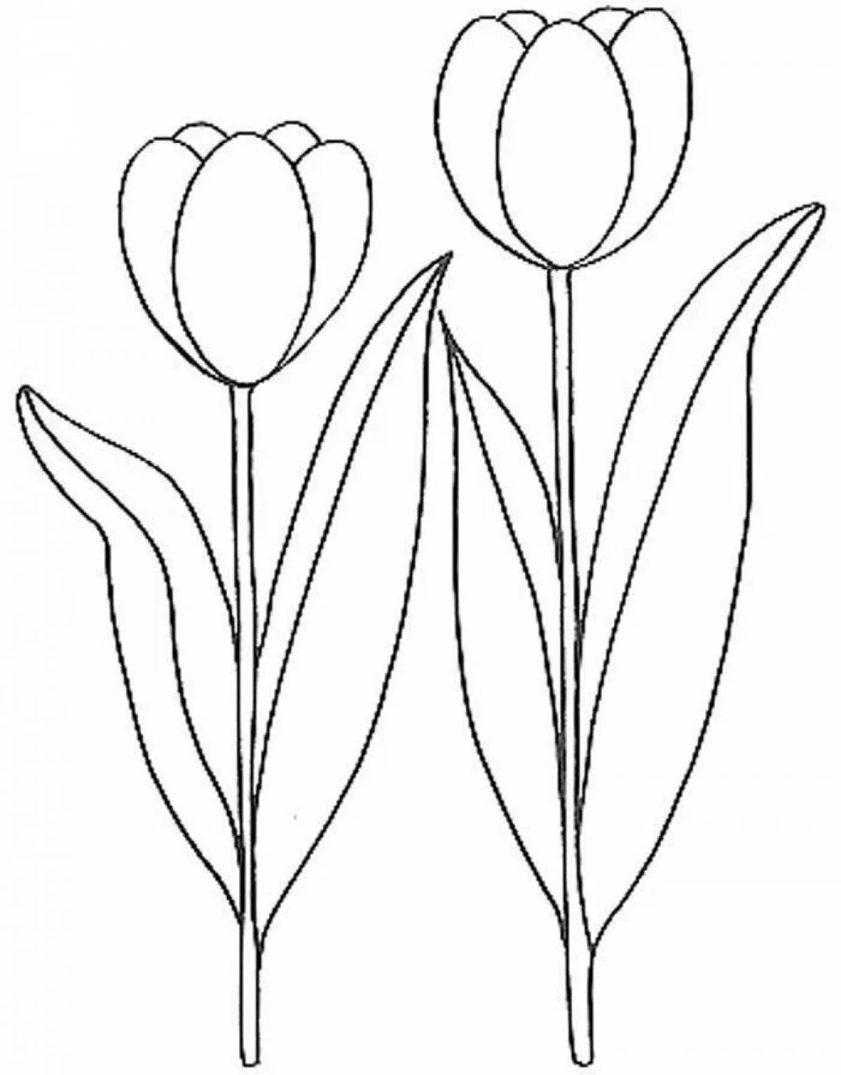 Тюльпан раскраска. Рисунок весенних цветов. Тюльпан для раскрашивания. Как раскрасить тюльпан. Как раскрасить тюльпан.