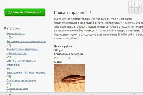 Песня пропали тараканы