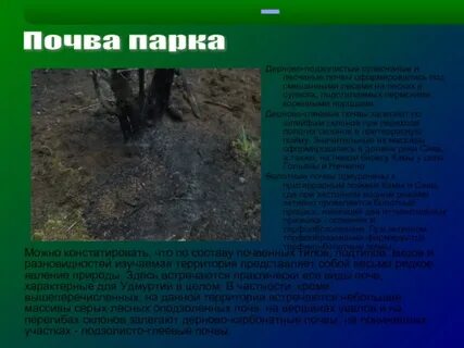 Супесчаная почва состав