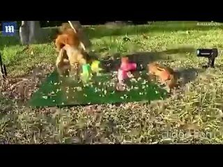 Раздосадован подите прочь. Пойдите прочь. Пойти не прочь. Пойти не прочь. Пойти не прочь.